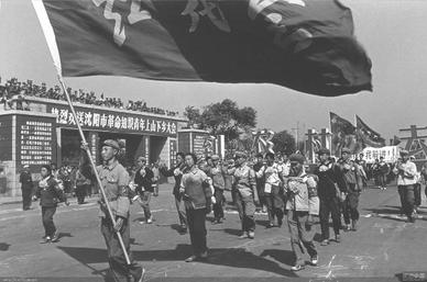 Down to the Countryside Movement